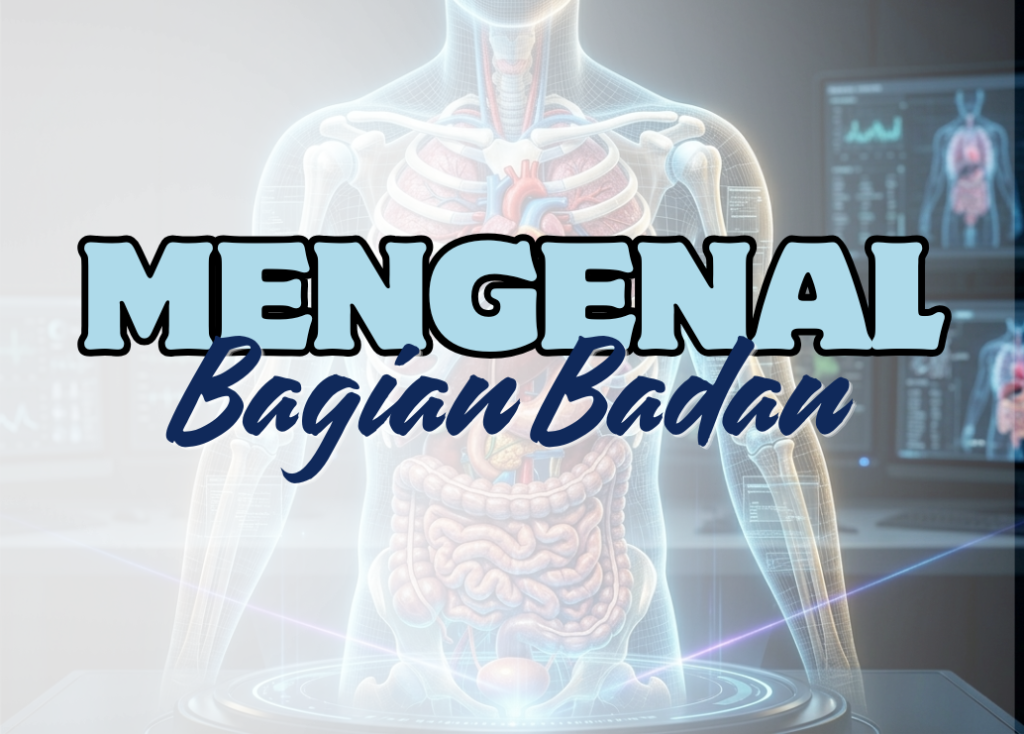 Mengenal Bagian Badan