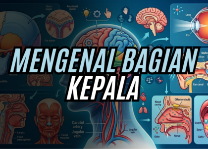 Mengenal Bagian Kepala