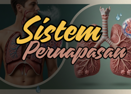 Mengenal-sistem-pernapasan