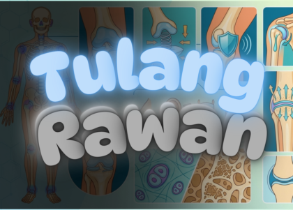 Mengenal Tulang Rawan