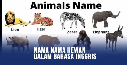Nama Hewan Dalam Bahasa Inggris Lengkap Beserta Artinya