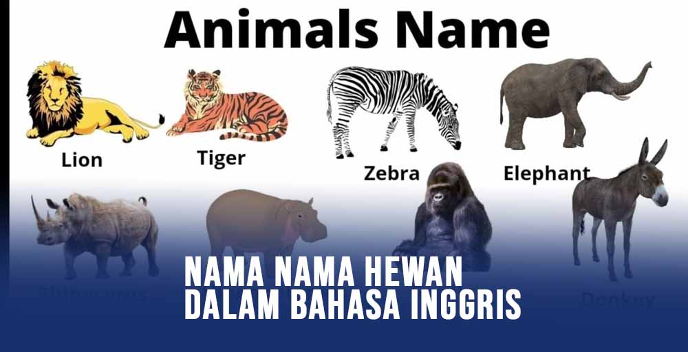 Nama Hewan Dalam Bahasa Inggris Lengkap Beserta Artinya